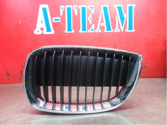 Grille BMW 1-Serie