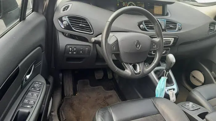 Gaspedaal Renault Scenic