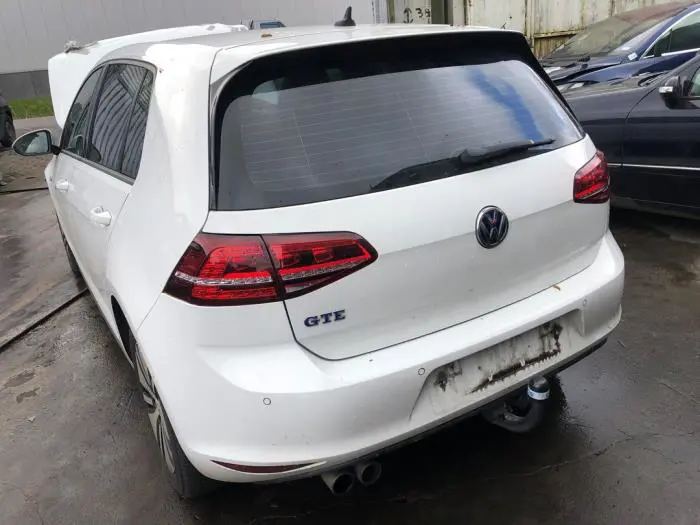 Accu (Hybride) Volkswagen Golf